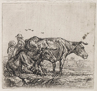 KG 03465
<br/>
Twee koeien
<br/>
<em>Cuyp, Aelbert (1620-1691)</em>
